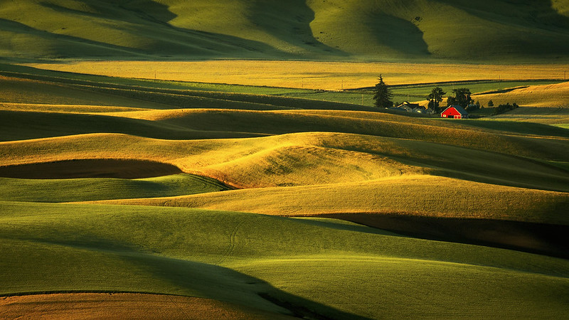 Palouse Hills and Farm in Washington State