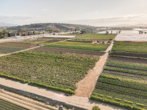 McGrath Family Farm Camarillo Aerial