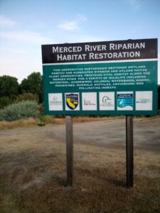 Merced River Riperian Habitat